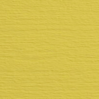 Buttercup Yellow